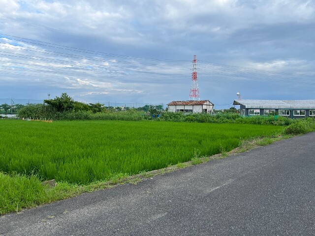  愛知県海部郡蟹江町大字蟹江新田字下芝切
