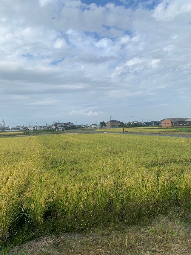 物件詳細 売買土地|愛知県津島市東愛宕町1丁目