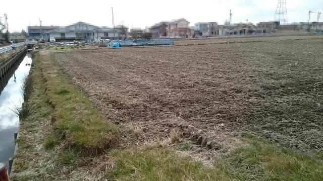  愛知県海部郡蟹江町須成西８丁目65