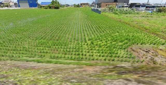  愛知県津島市大木町字郷前46