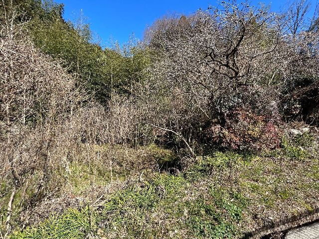  愛知県新城市杉山字道目記51-1、52、53、51-2
