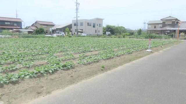 愛知県丹羽郡扶桑町大字柏森字花立