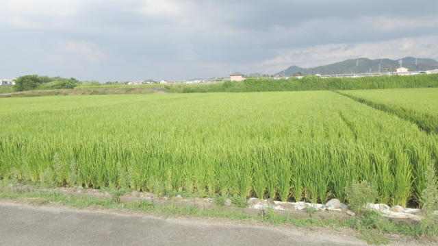  愛知県犬山市羽黒高橋３丁目