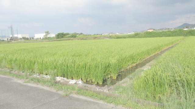  愛知県犬山市羽黒高橋３丁目