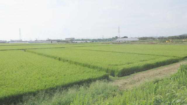  愛知県犬山市羽黒高橋３丁目