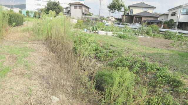  愛知県犬山市羽黒高橋４丁目